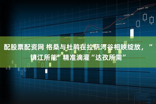 配股票配资网 格桑与杜鹃在拉萨河谷相映绽放，“镇江所能”精准滴灌“达孜所需”